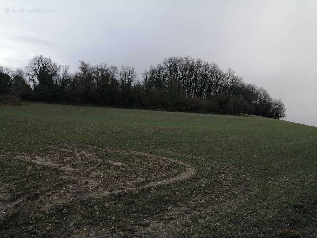 Terrain à SAINT-SEVERIN