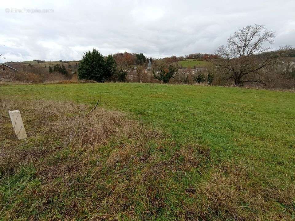 Terrain à FERRIERES-SUR-SICHON