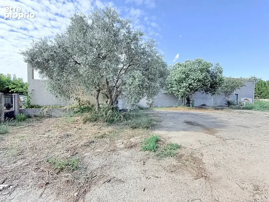 Maison T6 - 168 m² + Hangar 355 m² - Puissalicon - photo 2