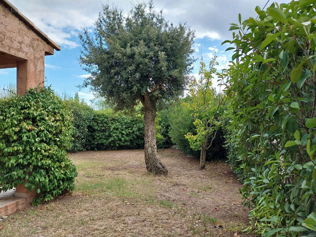 Appartement à ZONZA