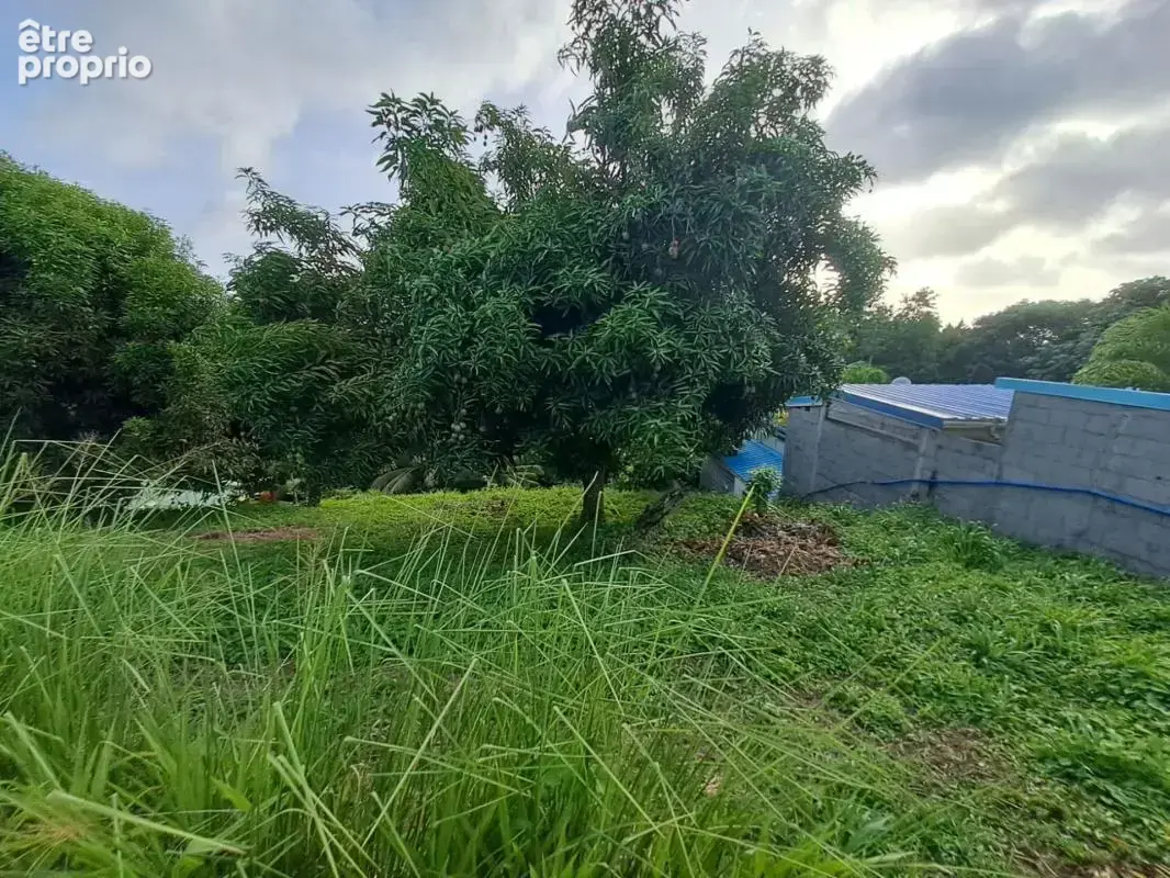 A vendre : bas de villa a terminer a riviere pilote (97211) - photo 2