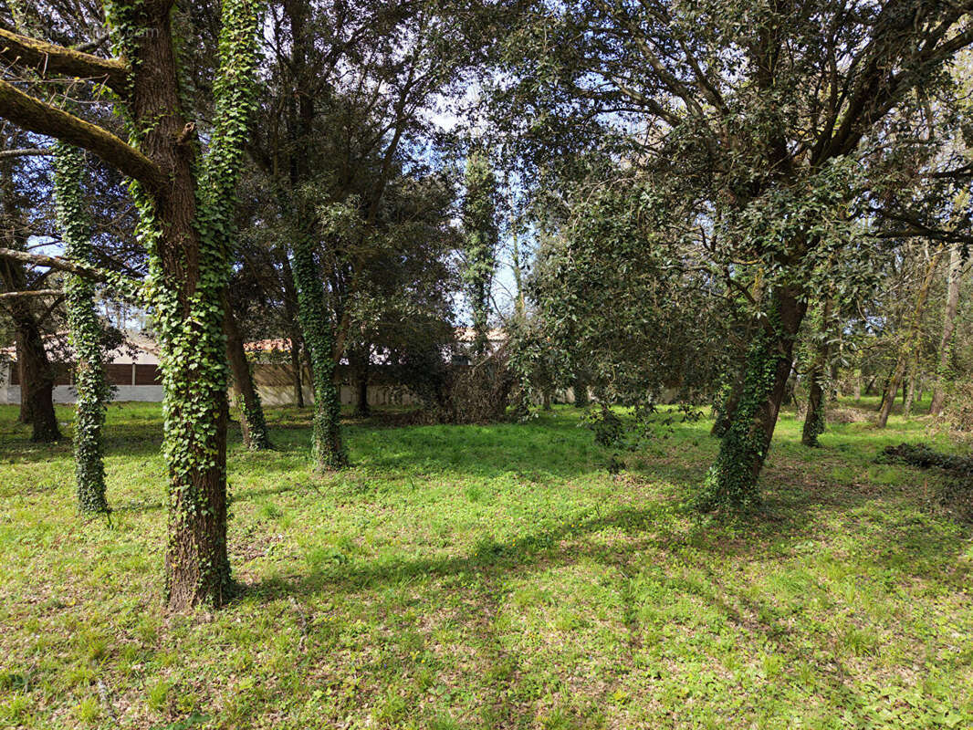 Terrain à MESCHERS-SUR-GIRONDE