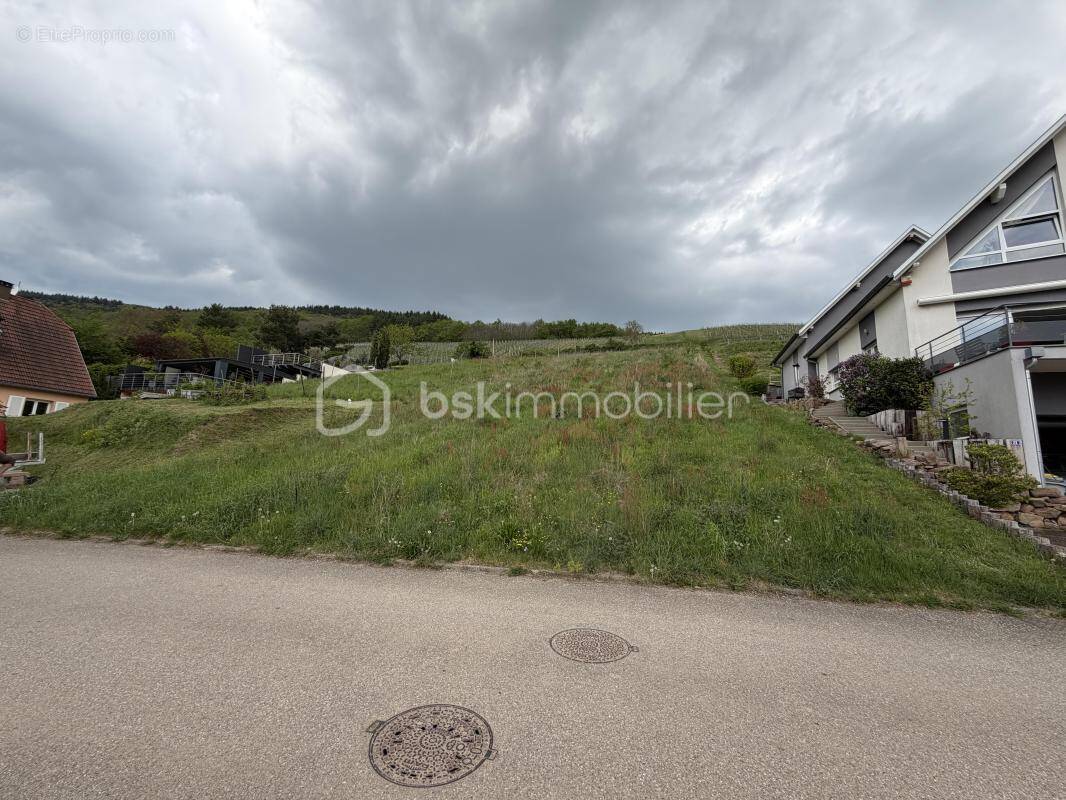 Terrain à BERNARDVILLE