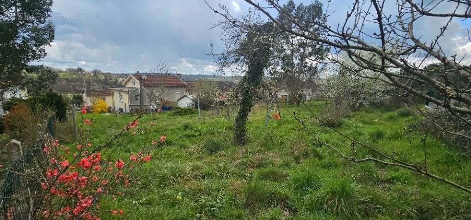 Terrain à AIXE-SUR-VIENNE