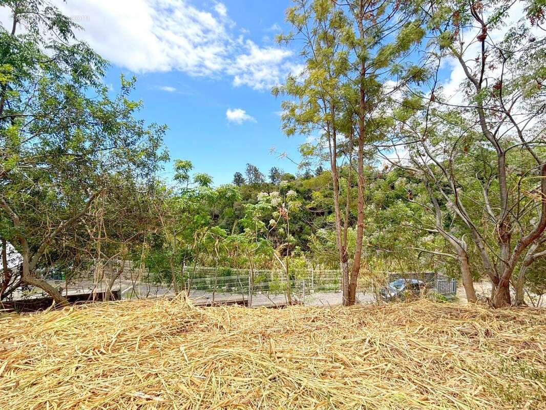 Terrain à SAINT-PAUL