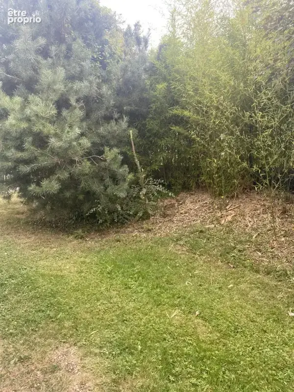 Terrain à ROINVILLE