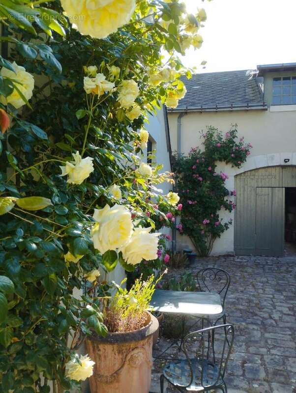 Maison 200 m² à Saint-Epain  - photo 5