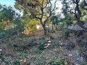 Terrain à SAINT-PIERRE