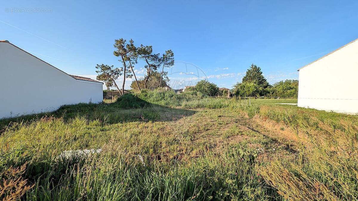 Terrain à MEURSAC