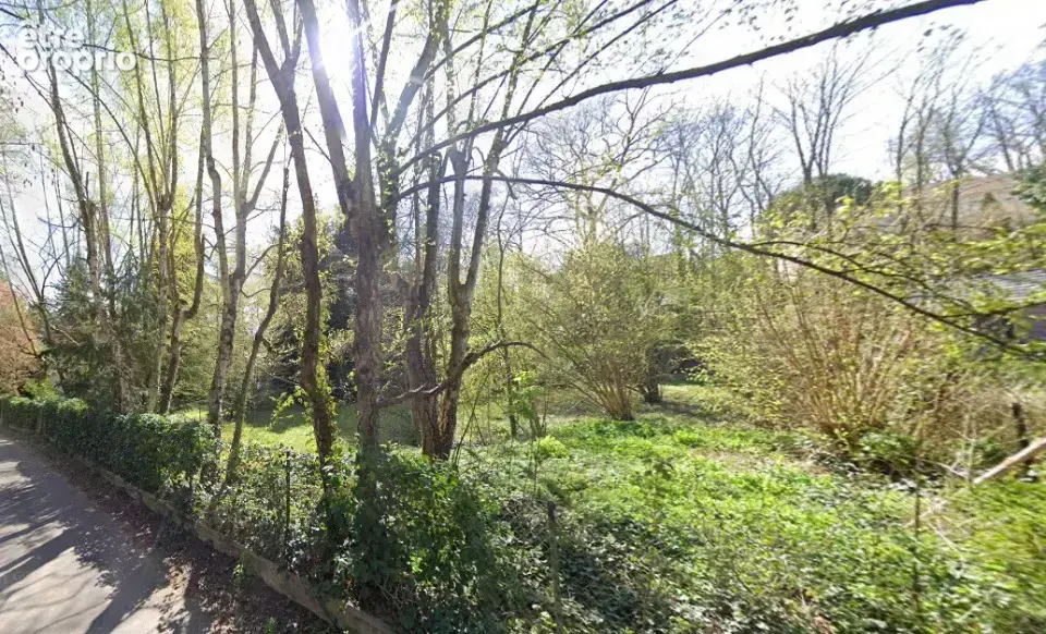 Photo Terrain à Mere au prix de 220 000€