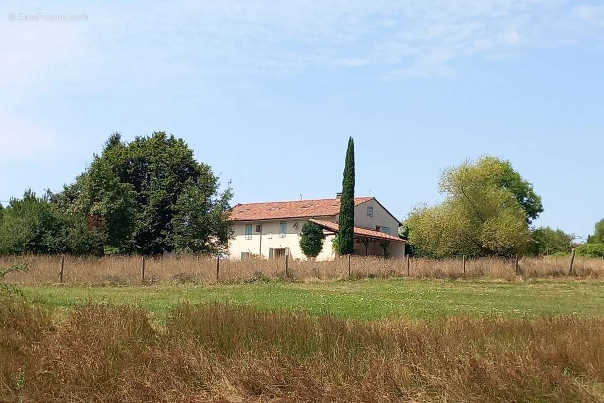 Propriété 3.4hectares - photo 8