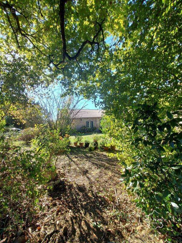 Maison en pierres avec dépendances et grand terrain - photo 5