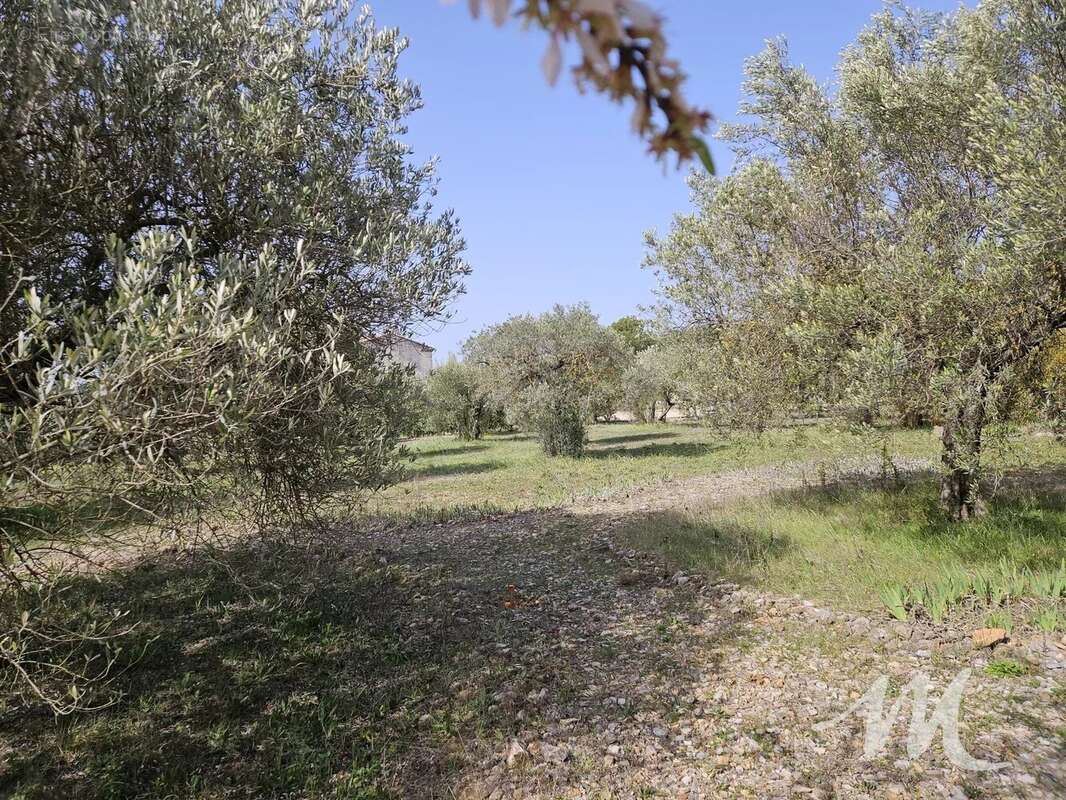 Terrain à TAVERNES