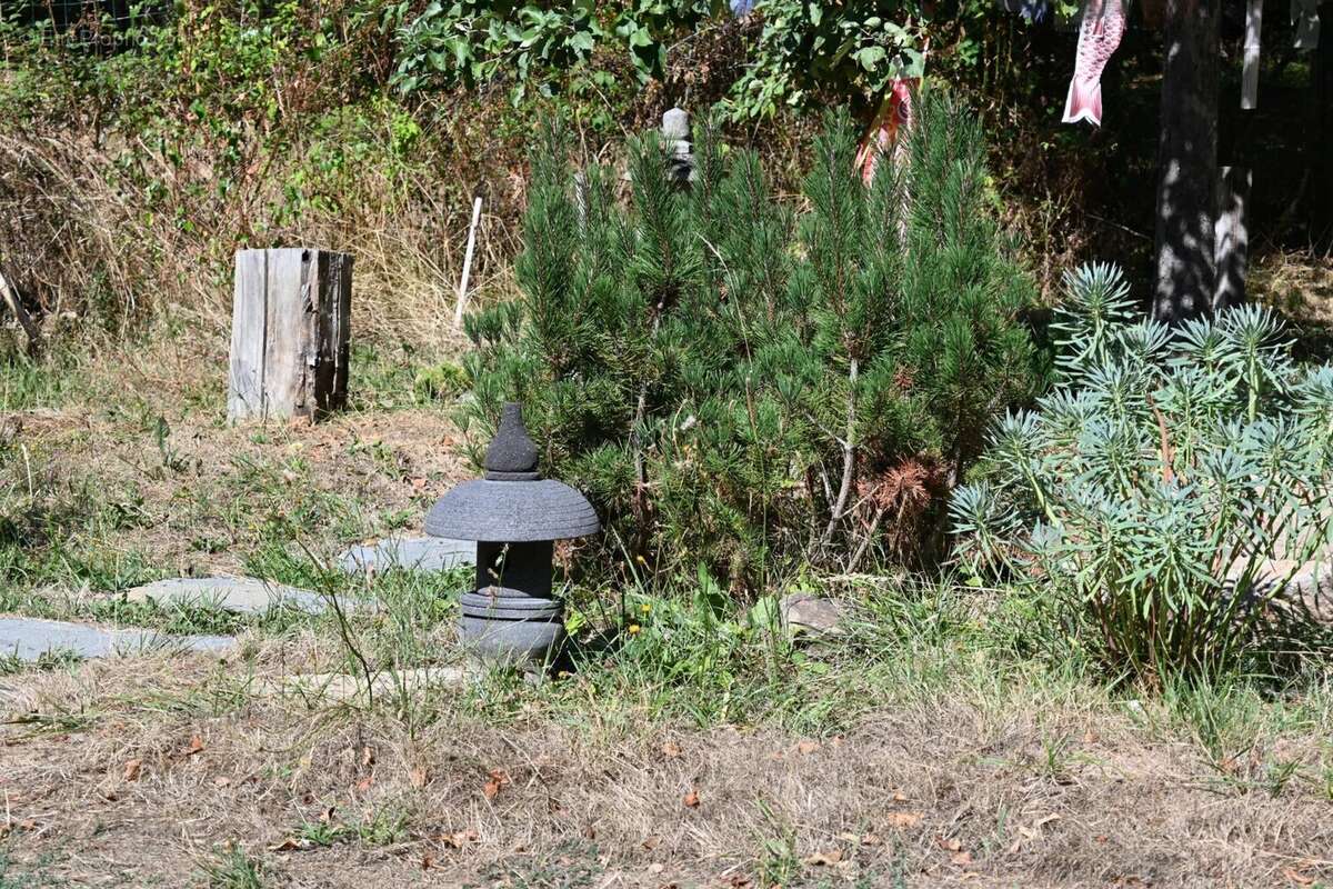 Vente à Saint-Franchy (Nièvre): Maison de village idyllique - photo 55