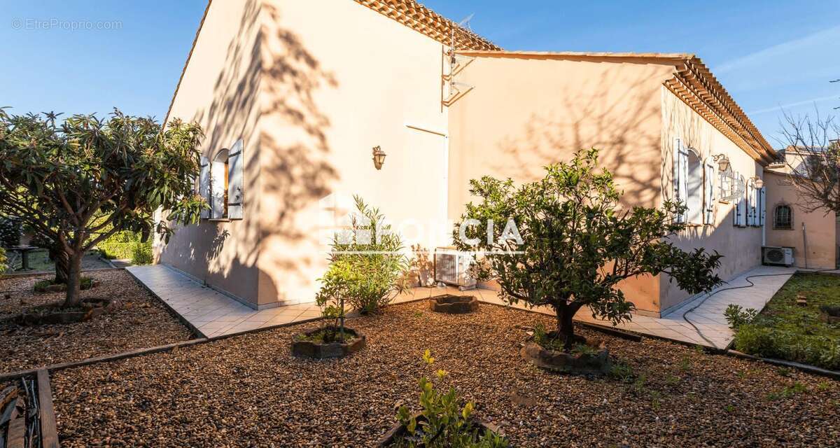 Maison de plain pied de 150m2 avec jardin, cabanon, garage et cave - photo 5