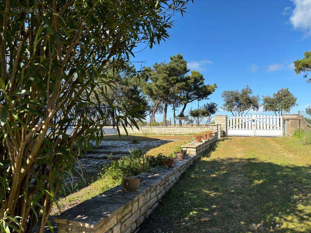 À vendre – Belle maison familiale avec vue mer, dépendance et jardin – La Brée-les-Bains, plage à pied - photo 4
