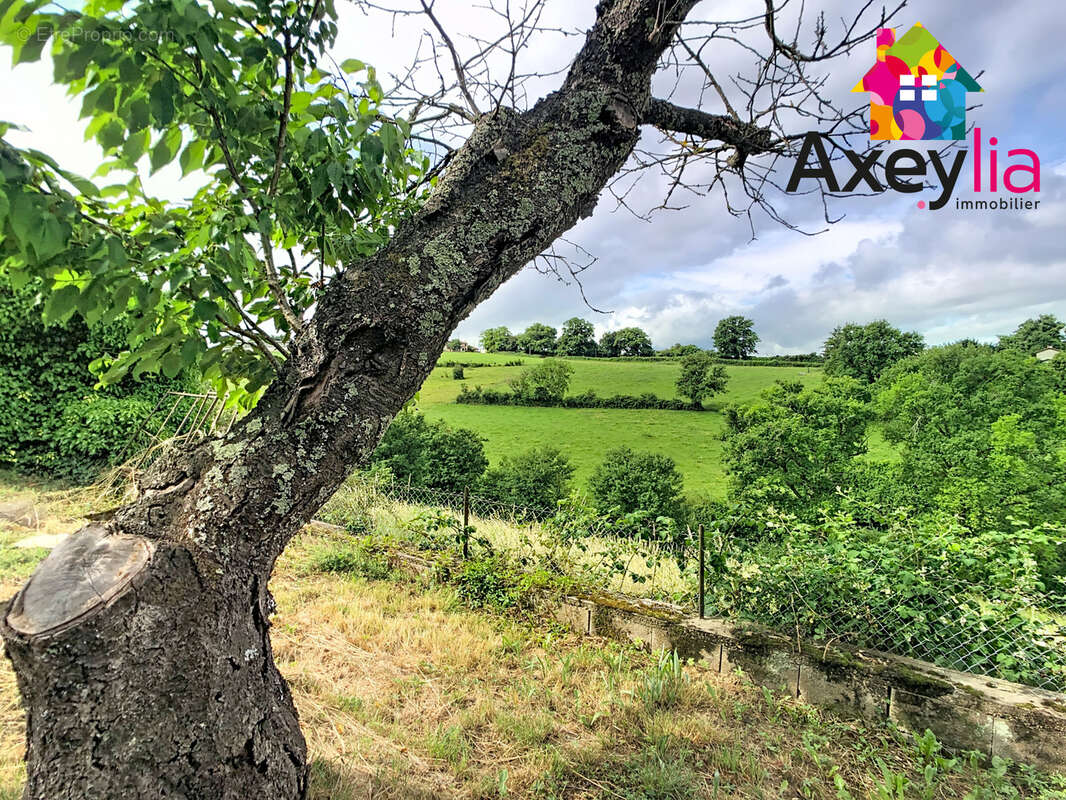 A vendre - a 5 min de charlieu - maison 4 ch avec garage et terrain - photo 9