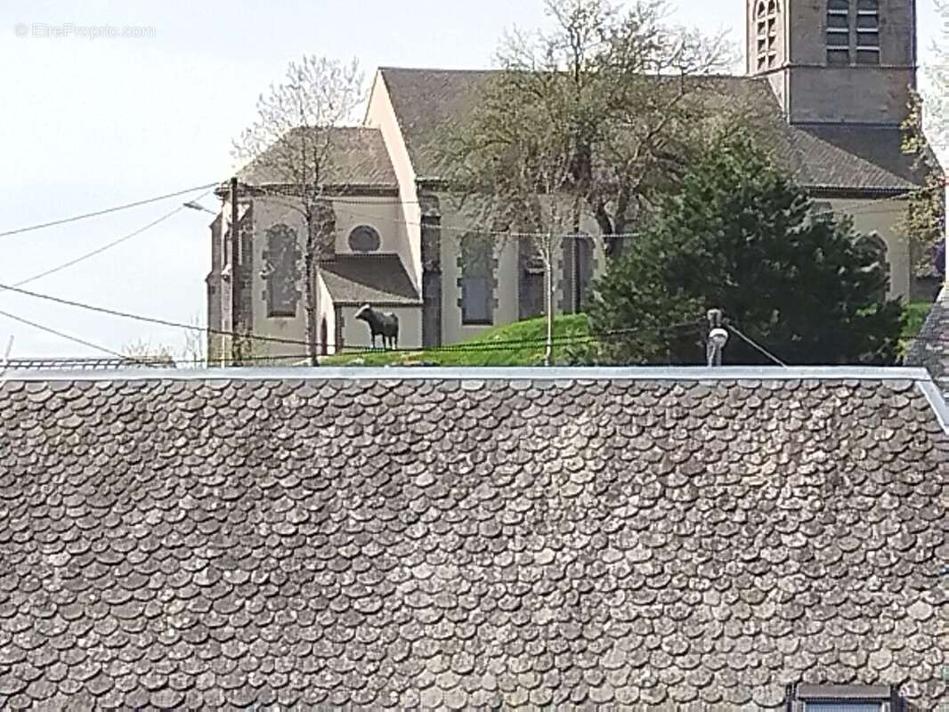 Maison à SAINT-GENES-CHAMPESPE