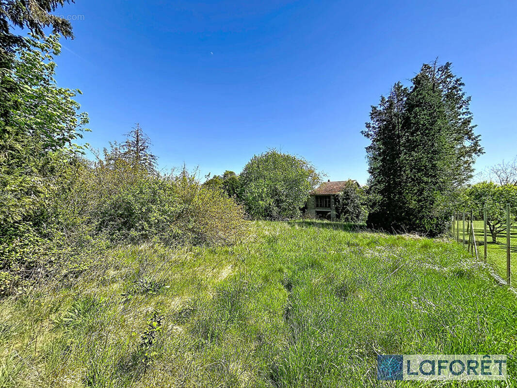 Terrain à BOURBONNE-LES-BAINS