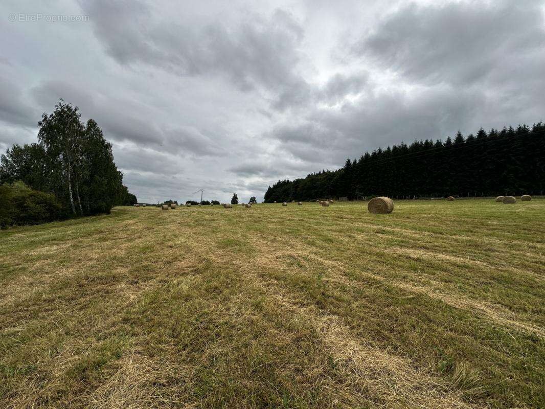 Terrain à SAINT-CYR-LA-ROSIERE