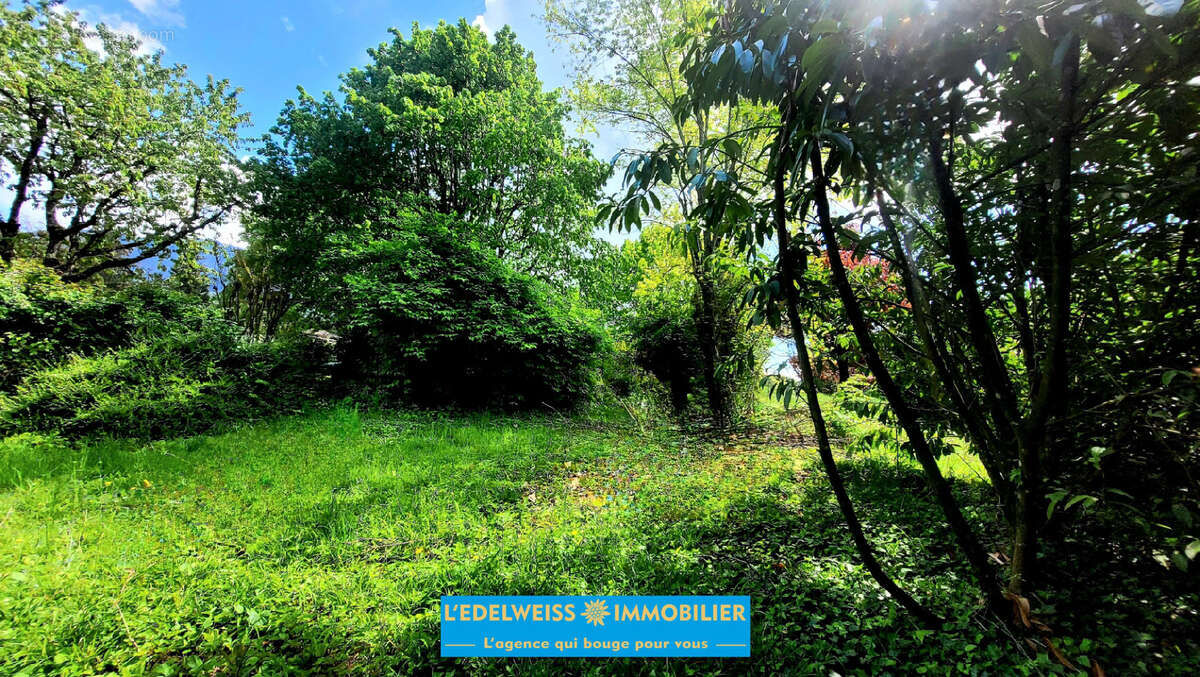 Terrain à PUGNY-CHATENOD