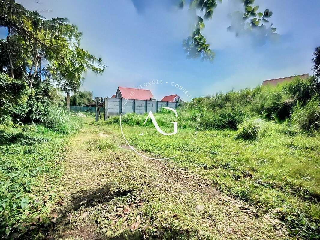 Photo 2 - Terrain à LE MORNE-ROUGE