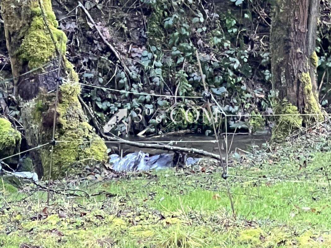 Maison à SAINTE-CROIX-AUX-MINES