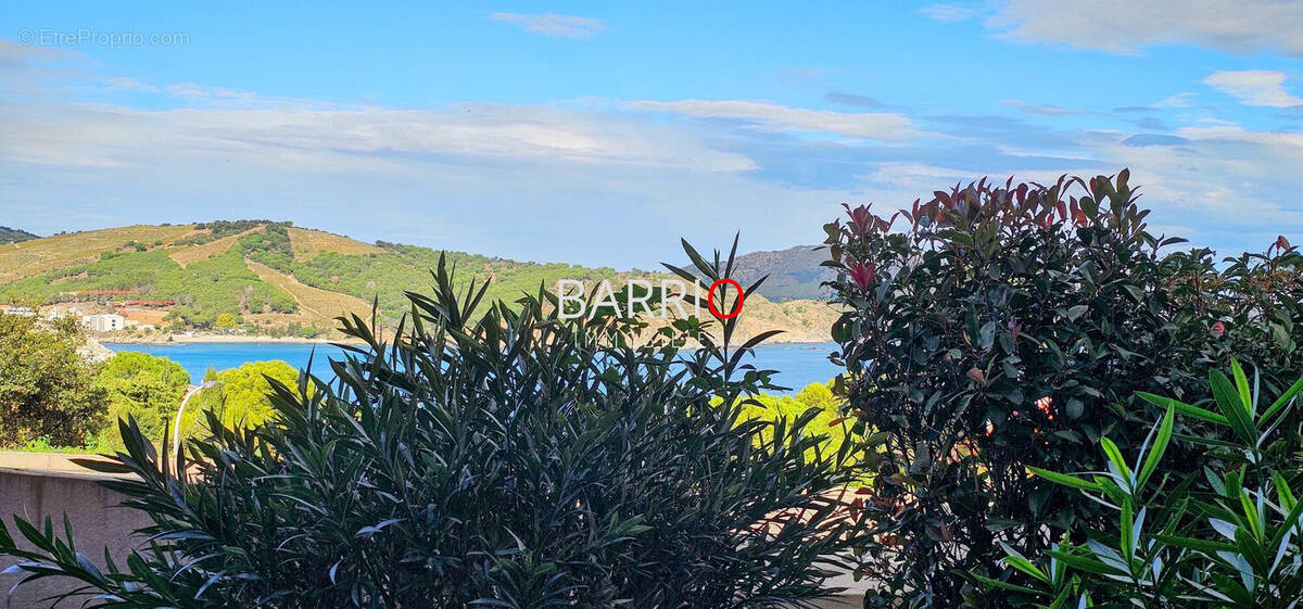 Appartement à BANYULS-SUR-MER