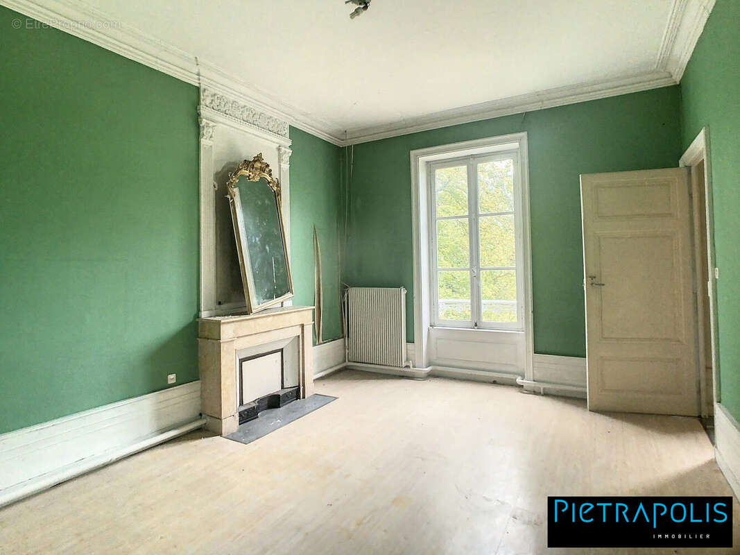 Appartement à SAINT-GEORGES-DE-RENEINS