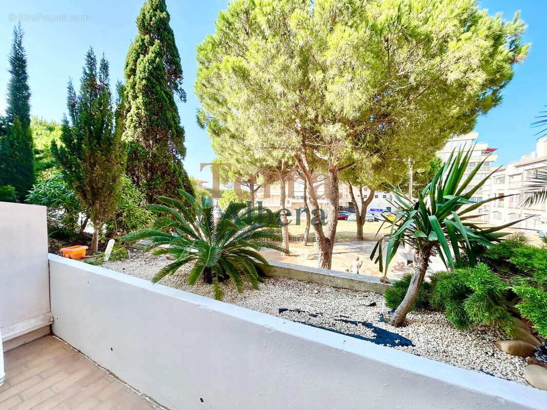Canet port   studio cabine - terrasse de 17 m2 - photo 4