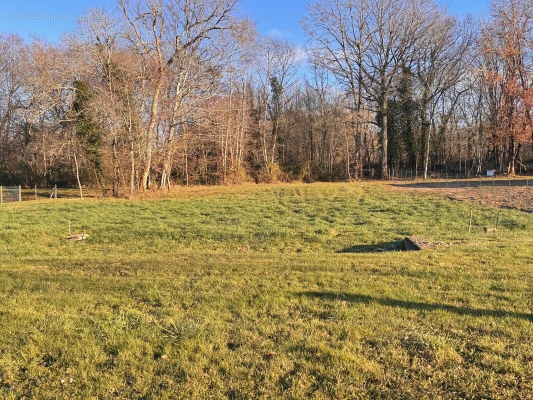 Terrain à DOUCHAPT
