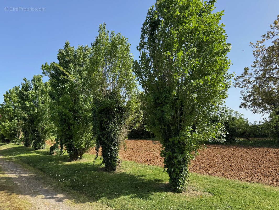 Terrain à SAINTE-HERMINE