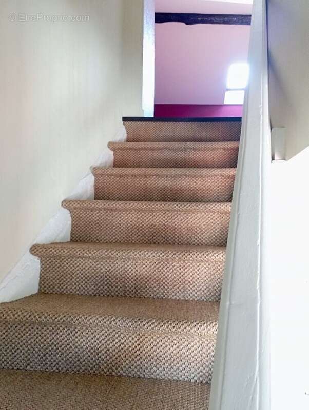 Appartement à ROANNE