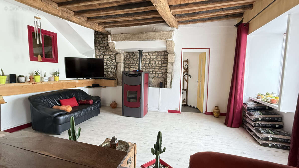 Grande maison de village rénovée avec dépendance et jardin - photo 2