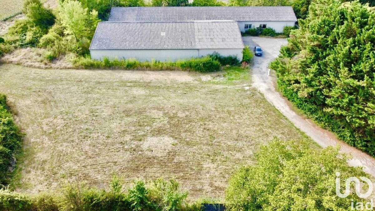 Photo 1 - Commerce à NERAC