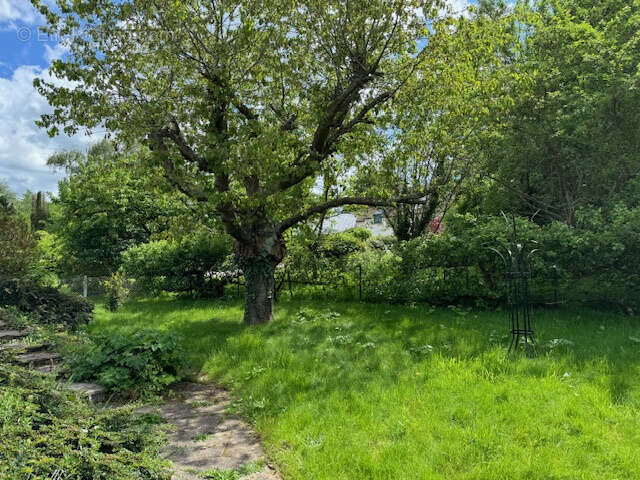 Maison à VILLENNES-SUR-SEINE