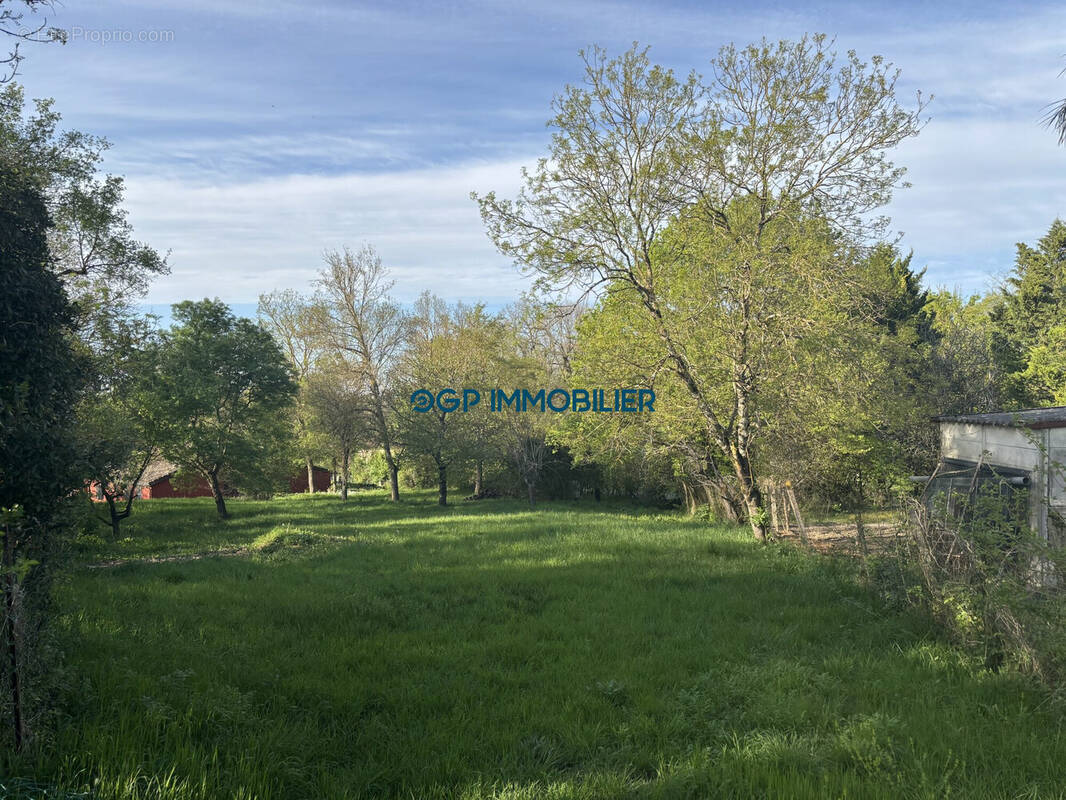 Terrain à L&#039;ISLE-JOURDAIN