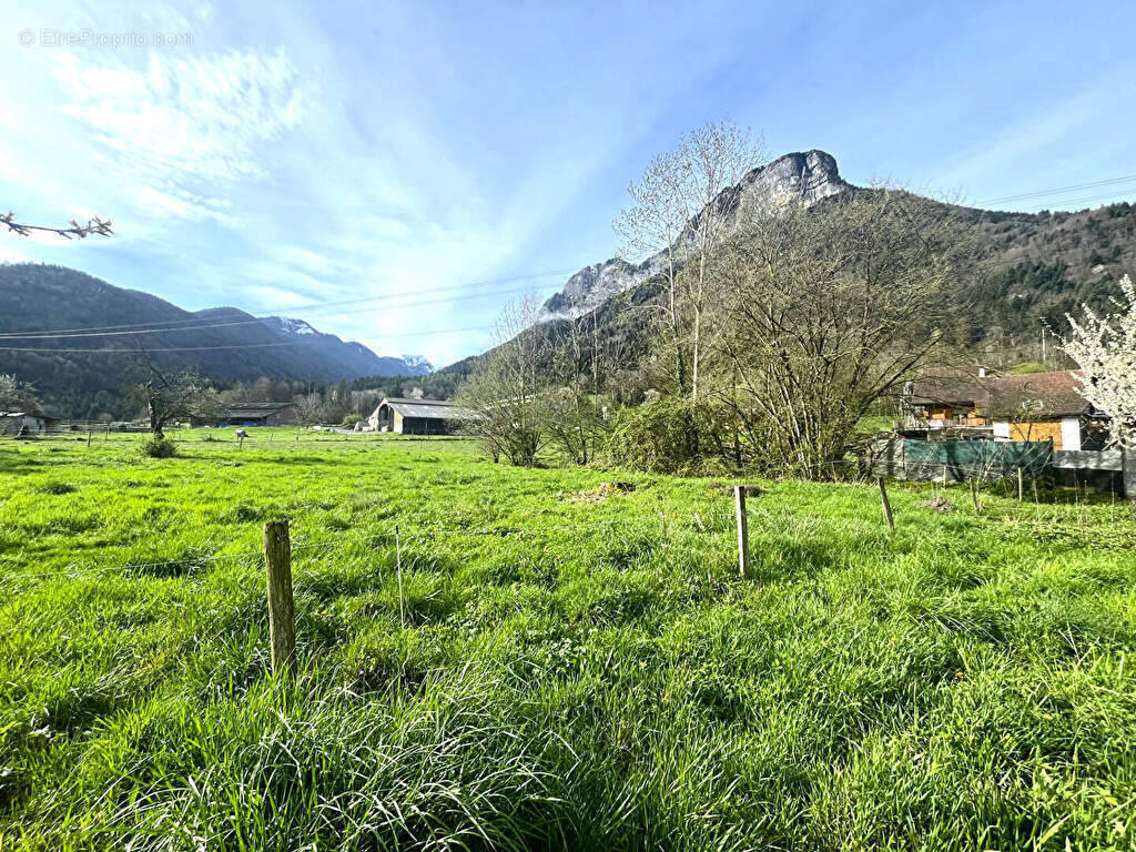 Terrain à DOUSSARD