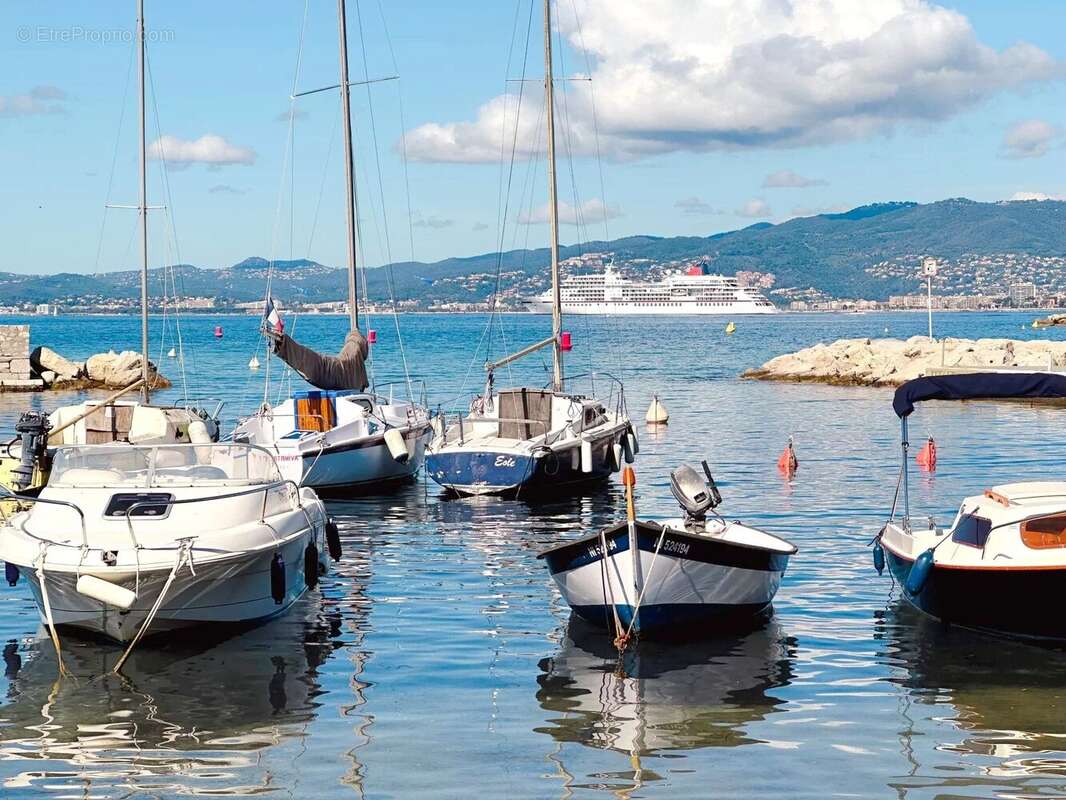 Cannes vente appartement 2p croisette - photo 3