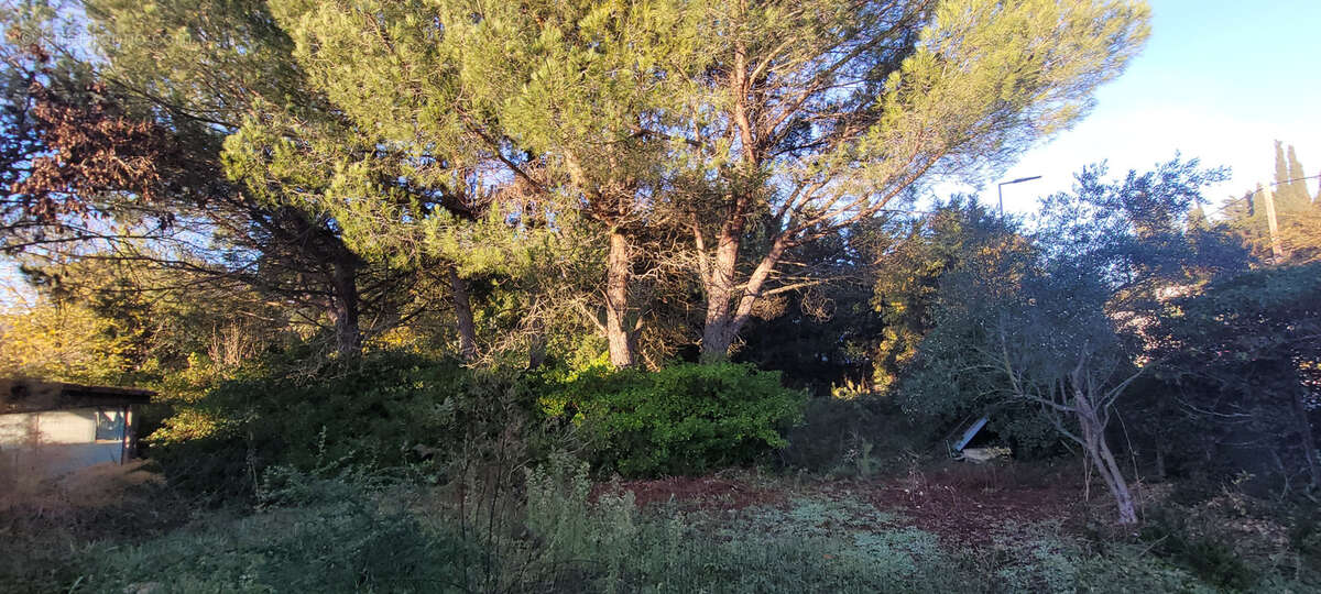 Terrain à AIX-EN-PROVENCE