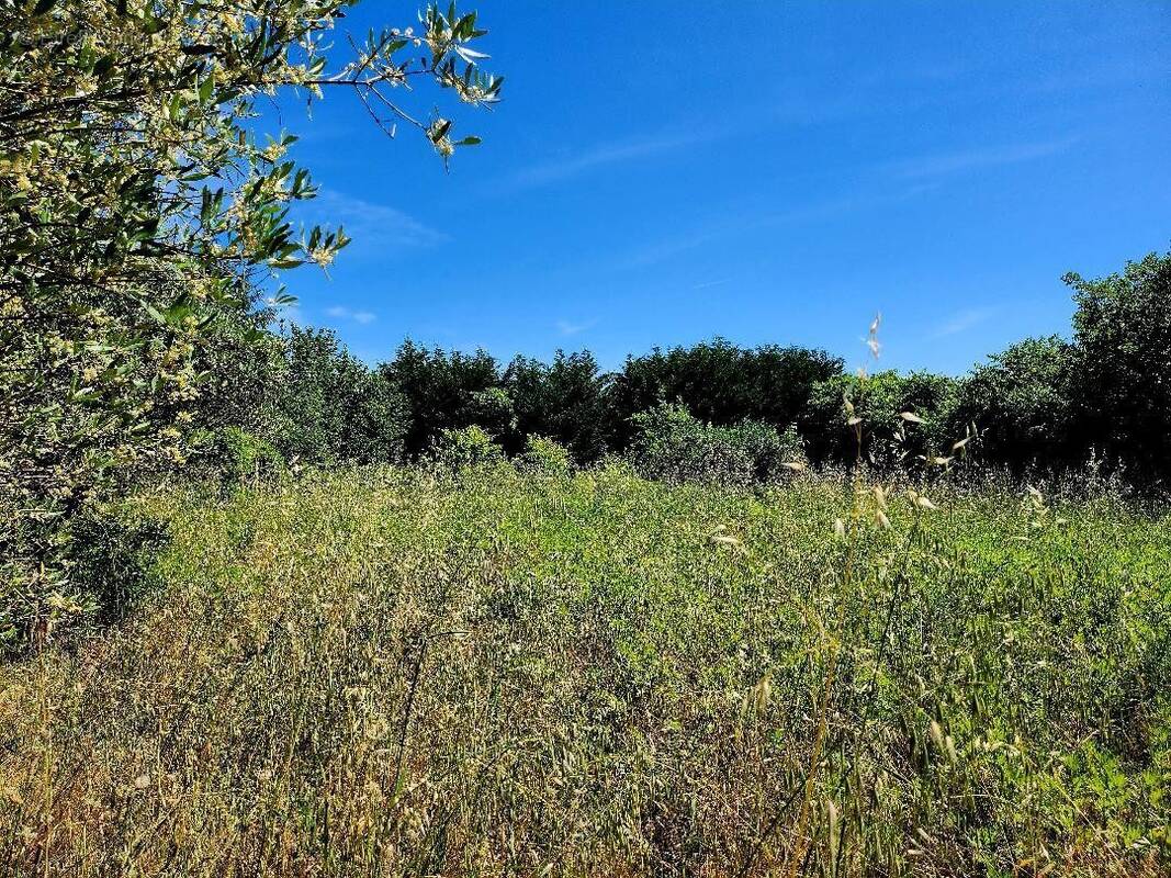 Terrain à CASSAGNOLES