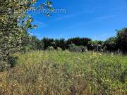 Terrain à CASSAGNOLES