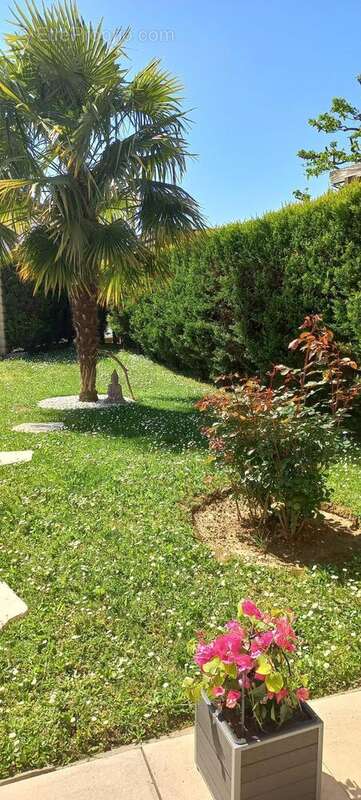 Photo 5 - Maison à MONTMERLE-SUR-SAONE
