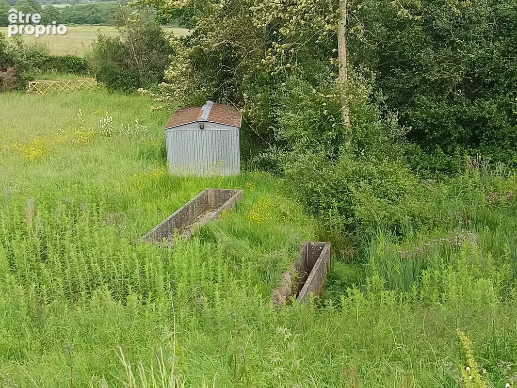 2 etangs au milieu de la verdure - photo 7