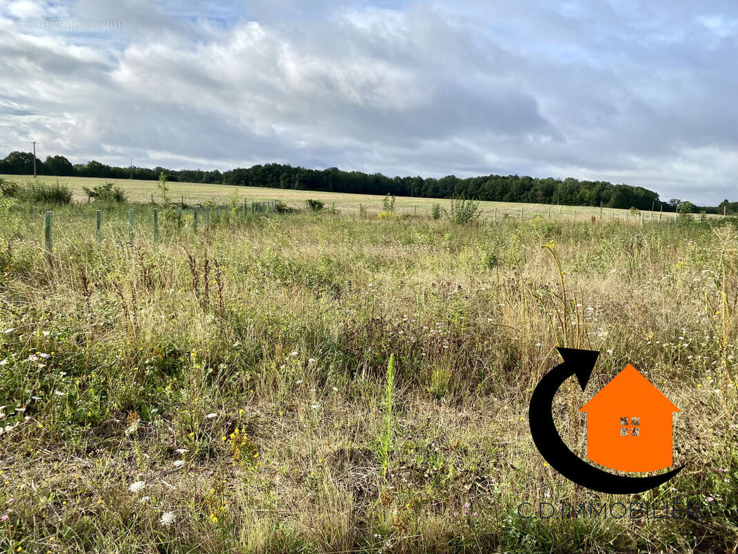 Terrain à SAINT-MAURICE-SAINT-GERMAIN