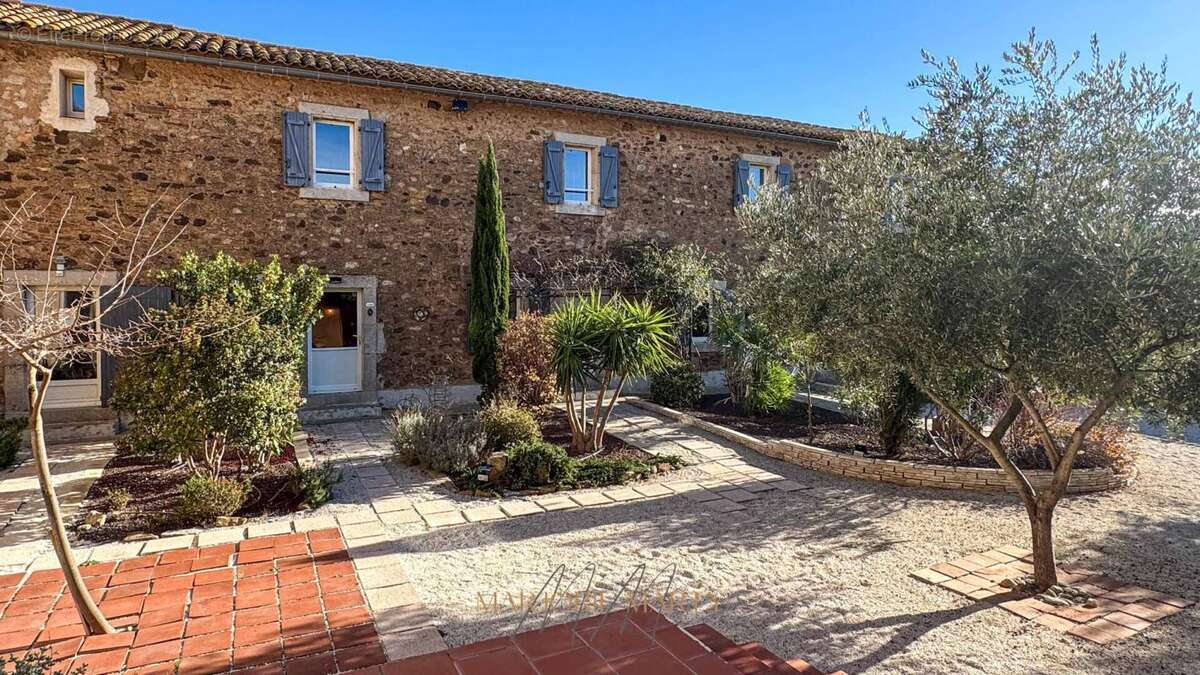 Vente Demeure de Caractère - 680 m2 - 11200 BOUTENAC - 1 250 000  HAI - photo 8