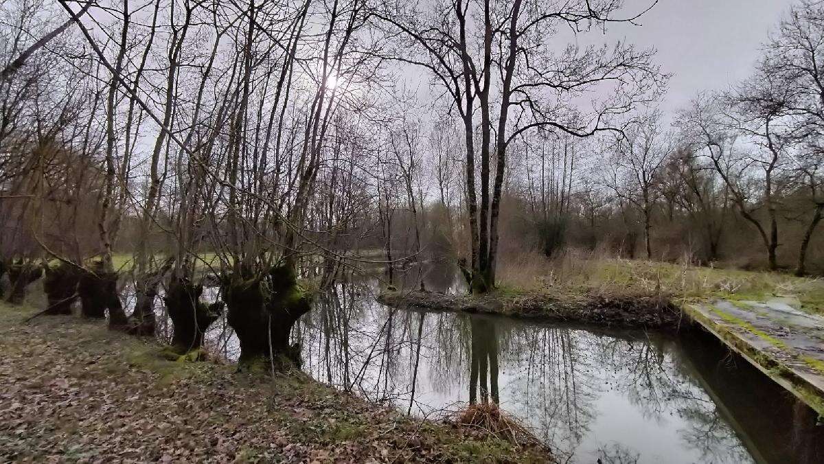 Terrain à SAINT-HILAIRE-LA-PALUD