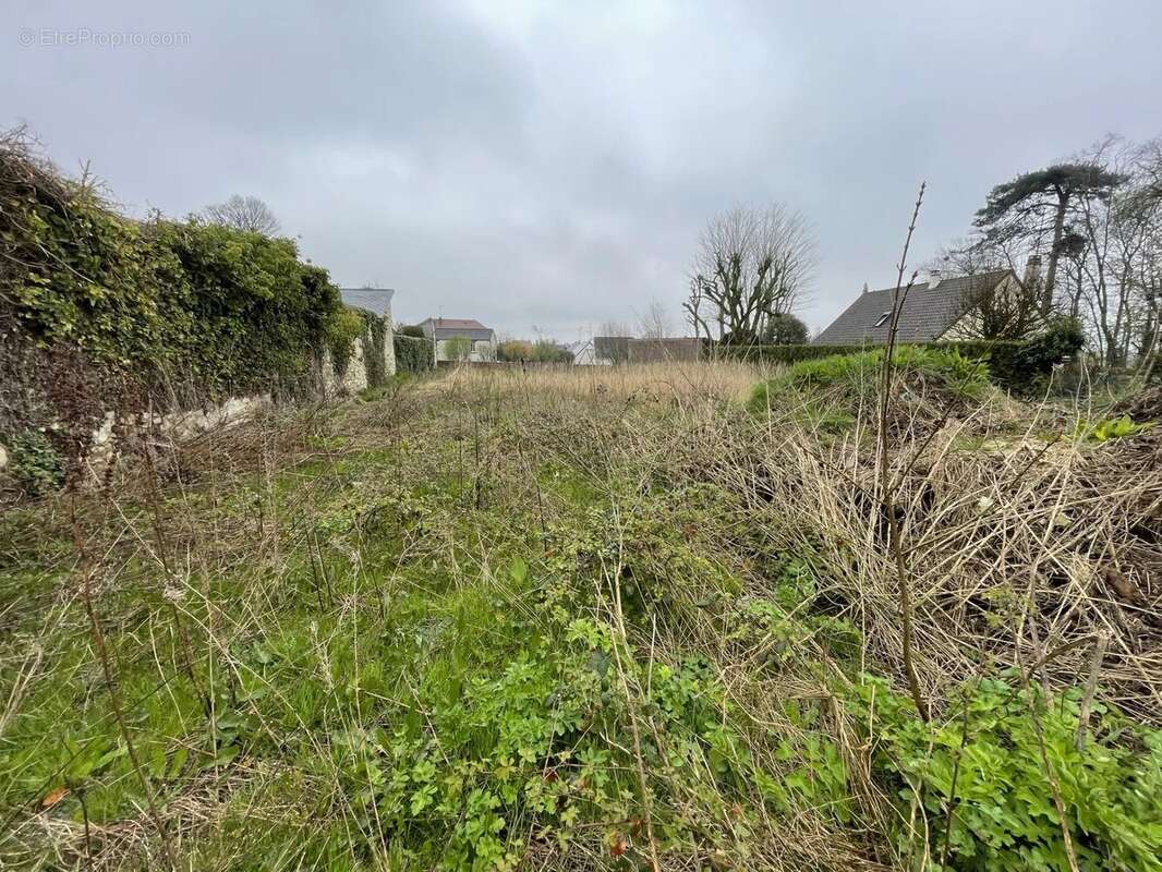 Terrain à MAFFLIERS