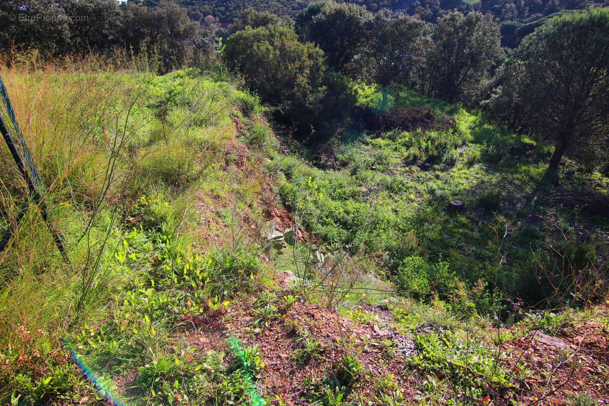 Terrain à LES ISSAMBRES