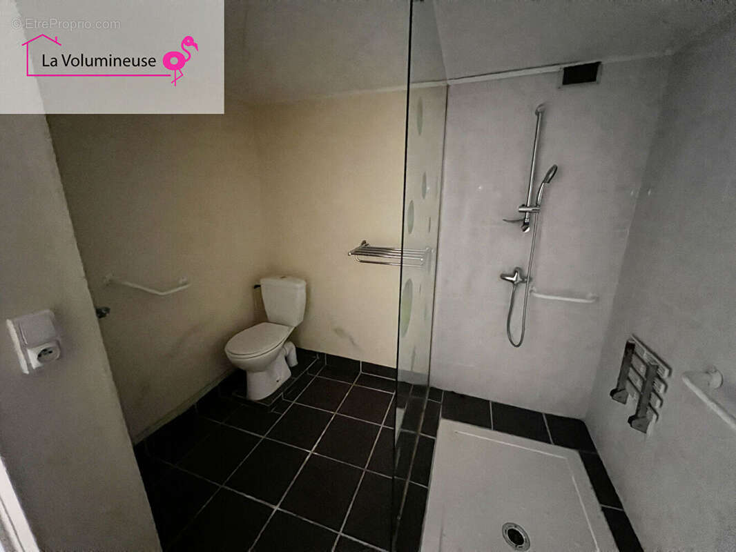 La Volumineuse - photo 4